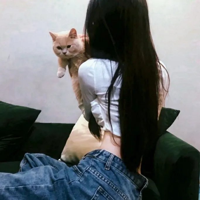 镜中花