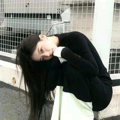 海燕双飞